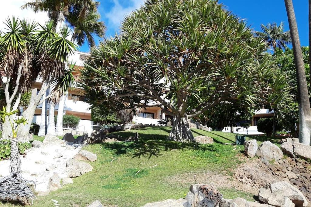Apartment With Pool And Gardens Near The Coast San Miguel de Abona Exterior foto