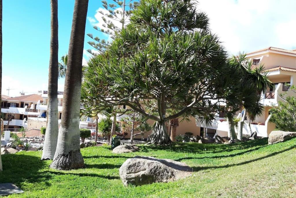 Apartment With Pool And Gardens Near The Coast San Miguel de Abona Exterior foto