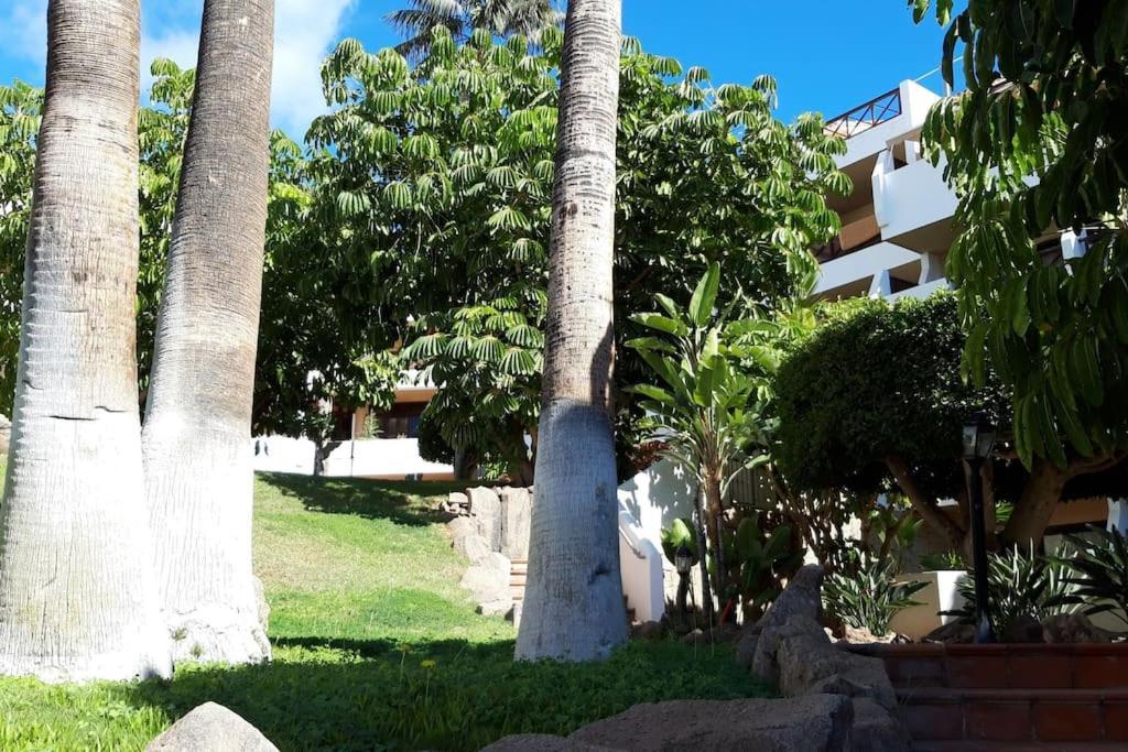 Apartment With Pool And Gardens Near The Coast San Miguel de Abona Exterior foto